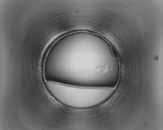 X0000095931068200801110913