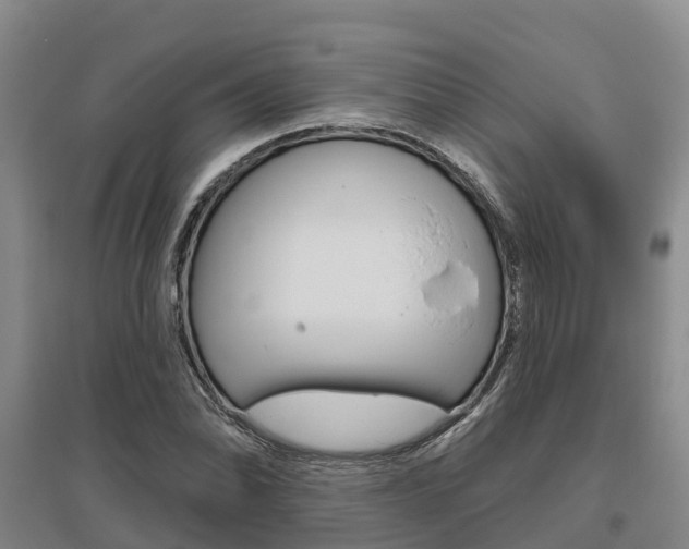 X0000095931070200801110913