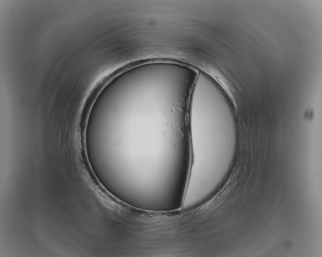 X0000095931072200801110913