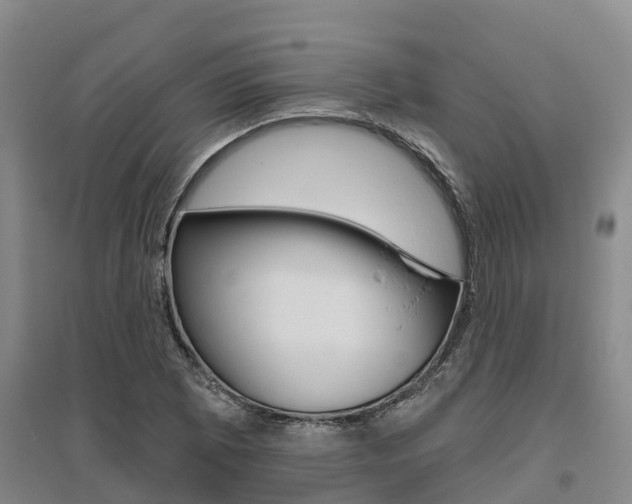 X0000095931073200801110913