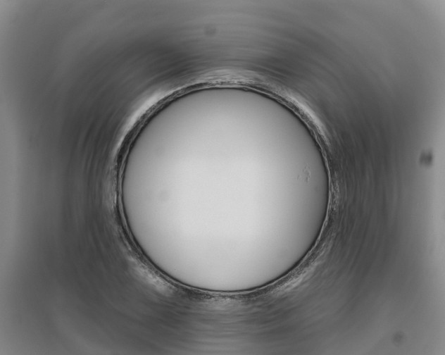 X0000095931075200801110912