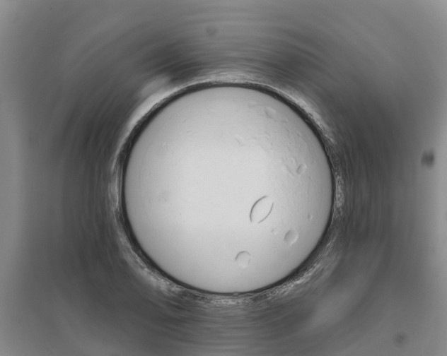 X0000095931078200801110912