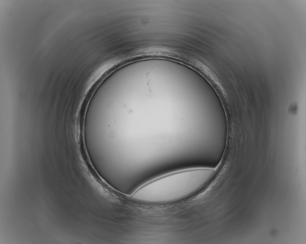 X0000095931082200801110912