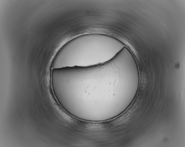 X0000095931083200801110912