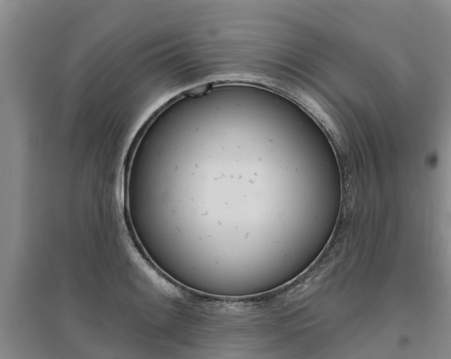 X0000095931084200801110912