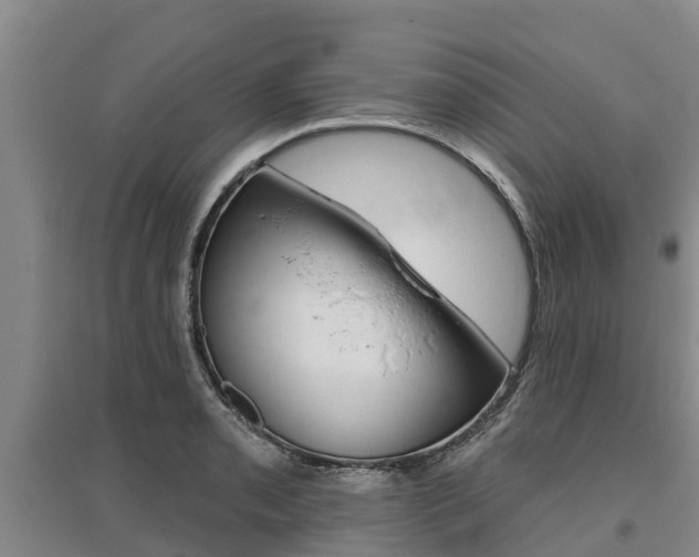 X0000095931085200801110912