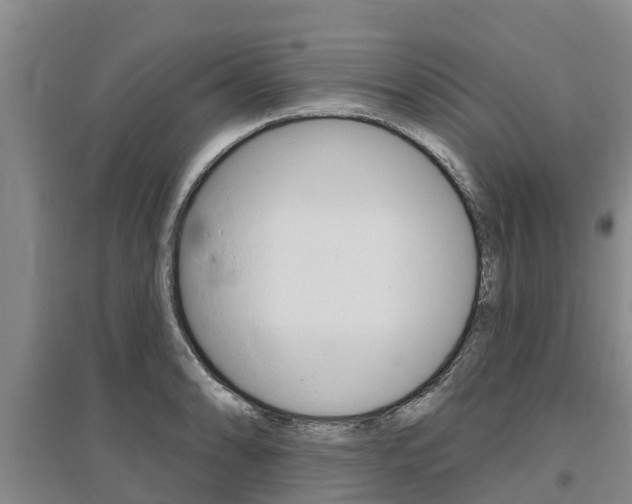 X0000095931086200801110912