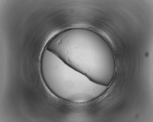 X0000095931087200801110912