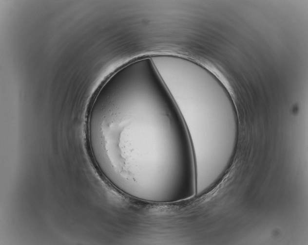 X0000095931093200801110912