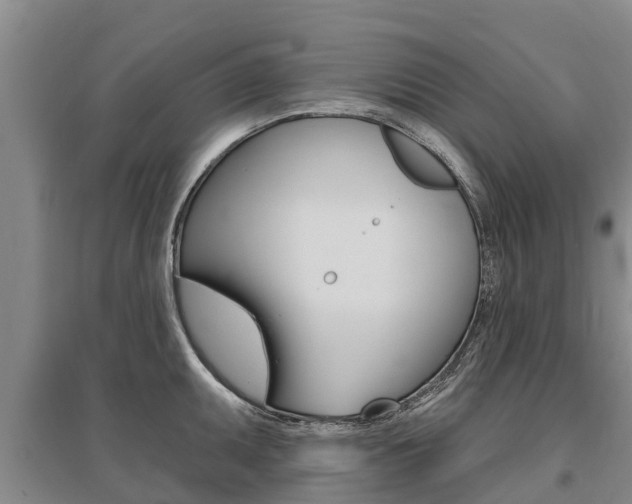 X0000095931095200801110912