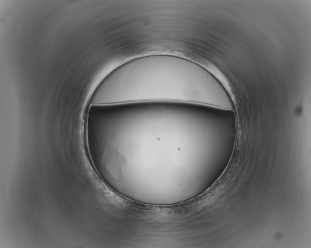 X0000095931096200801110912