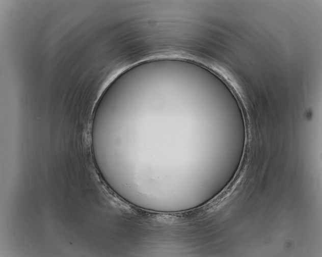 X0000095931097200801110912