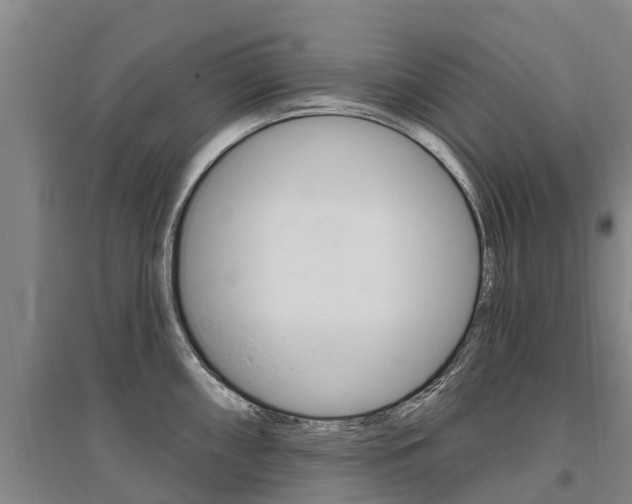 X0000095931098200801110912
