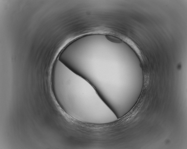 X0000095931099200801110912