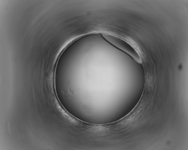 X0000095931100200801110912