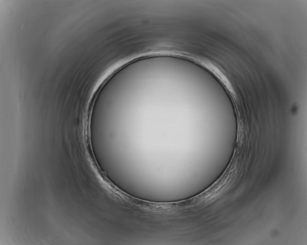 X0000095931101200801110912