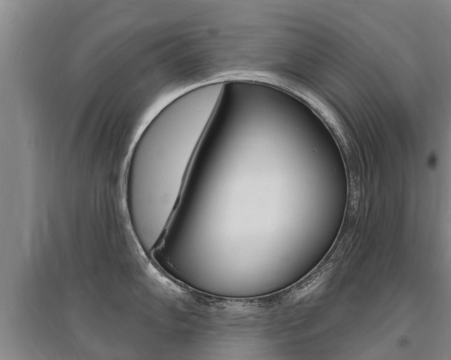 X0000095931102200801110912