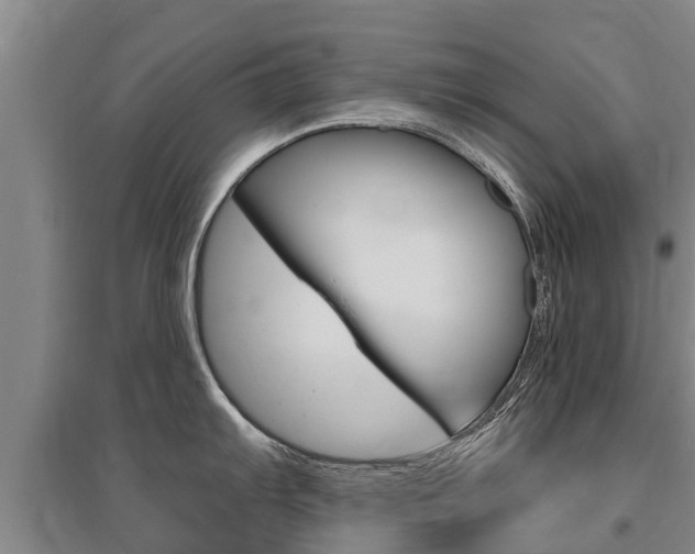 X0000095931103200801110912