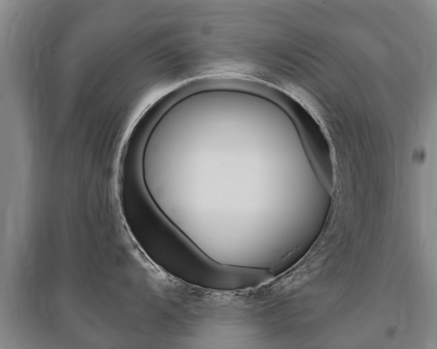 X0000095931104200801110912
