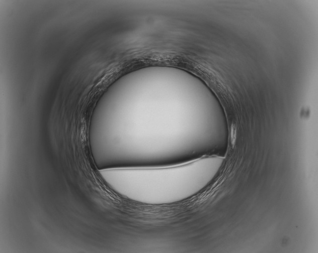 X0000095931107200801110911