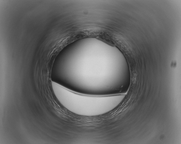 X0000095931108200801110911