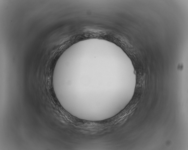 X0000095931109200801110911
