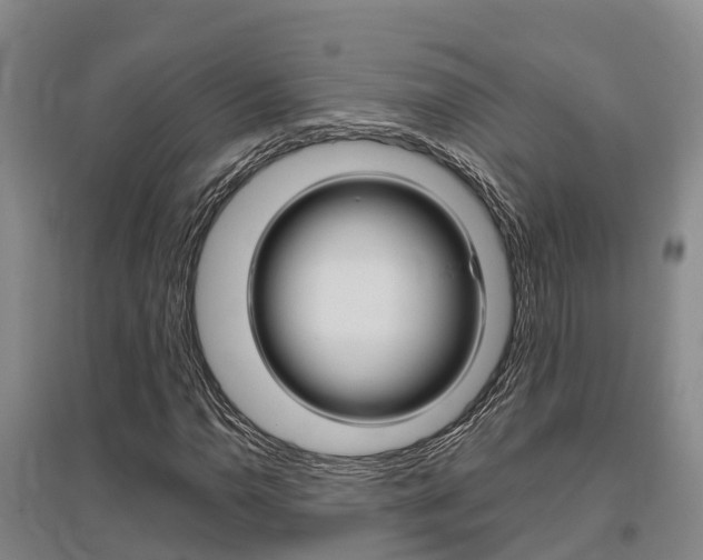 X0000095931110200801110911