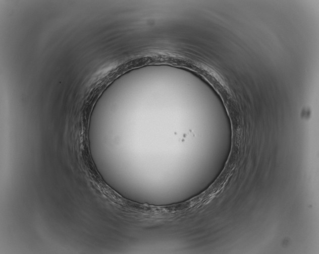 X0000095931111200801110911