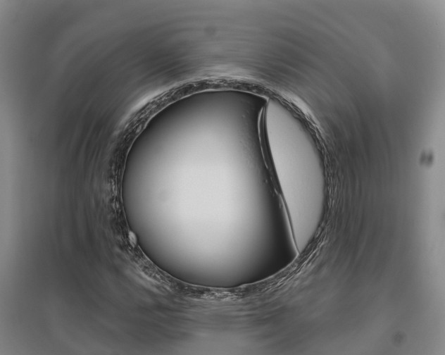 X0000095931112200801110911