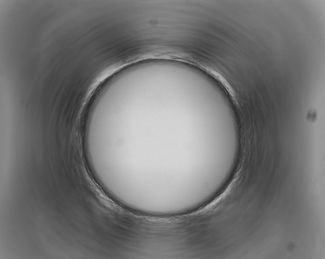X0000095931114200801110911
