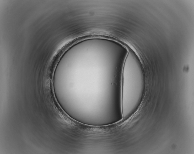 X0000095931115200801110911