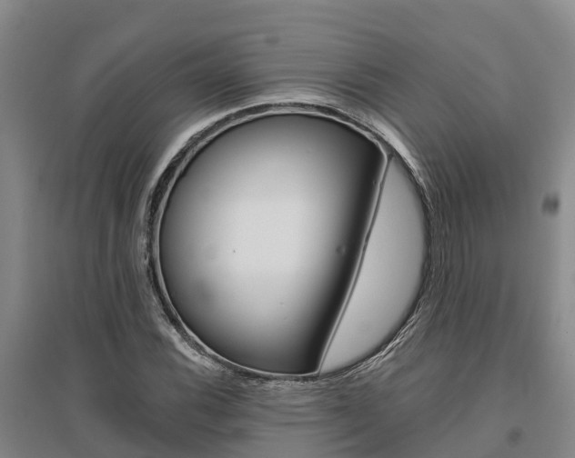 X0000095931116200801110911