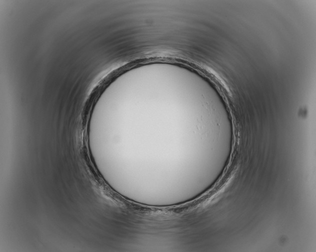 X0000095931117200801110911