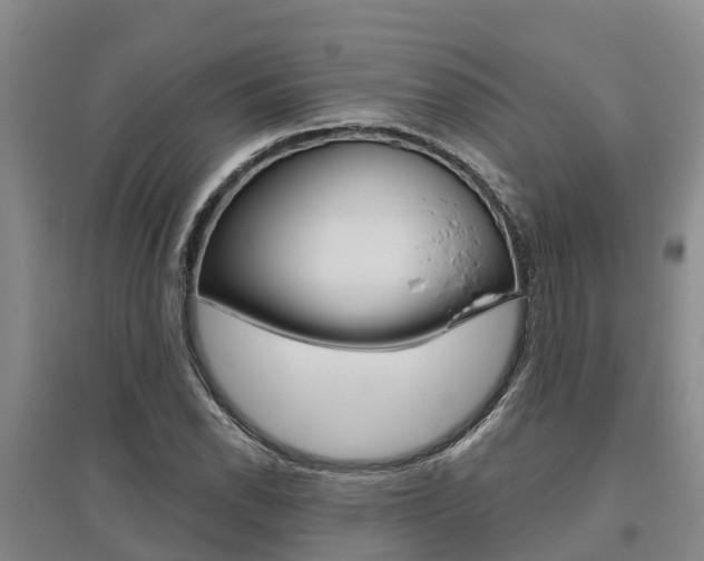 X0000095931118200801110911