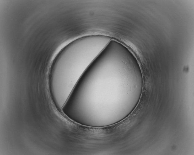 X0000095931120200801110911