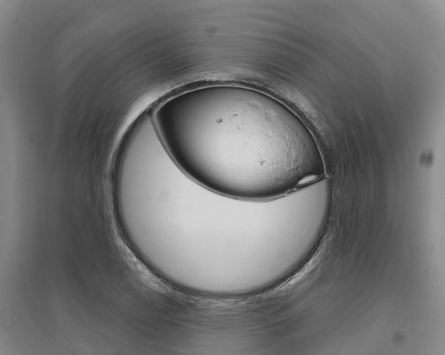 X0000095931122200801110911