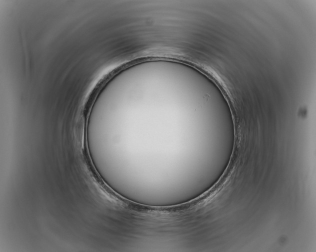 X0000095931123200801110911