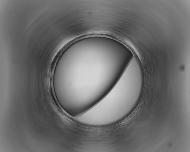 X0000095931124200801110911
