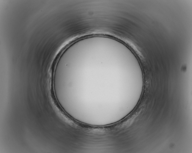 X0000095931126200801110911