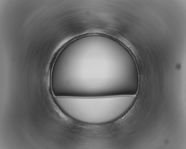 X0000095931127200801110911