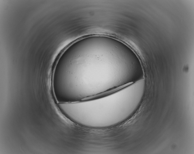 X0000095931128200801110911