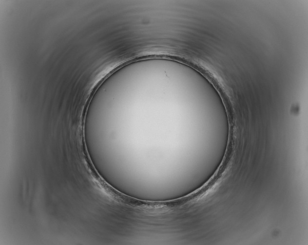 X0000095931129200801110911