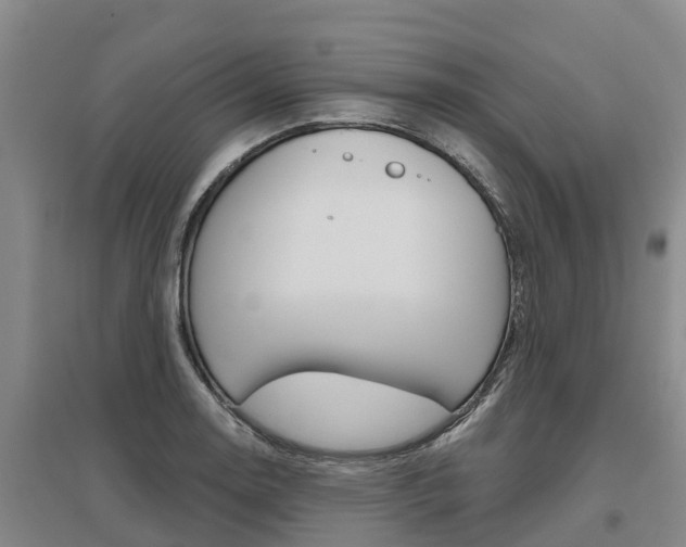 X0000095931130200801110911