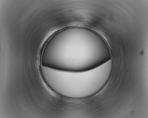 X0000095931131200801110912