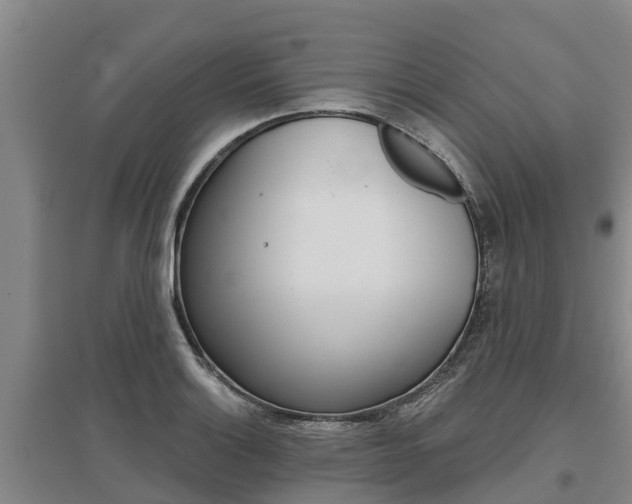 X0000095931132200801110912