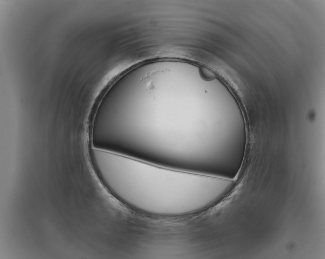 X0000095931133200801110912