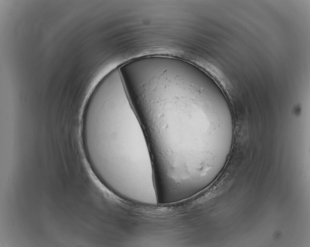X0000095931135200801110912