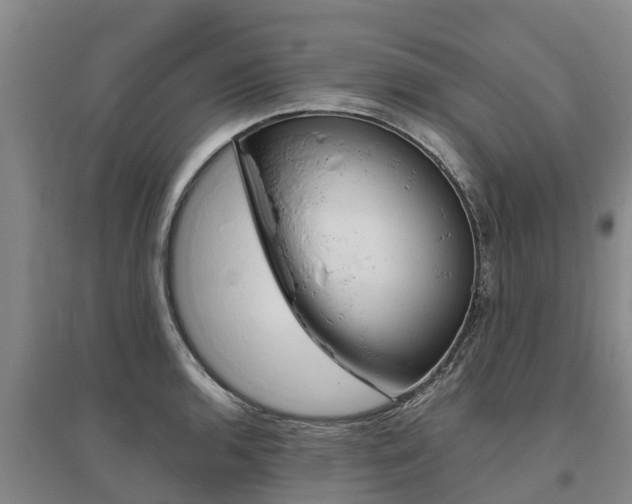 X0000095931136200801110912
