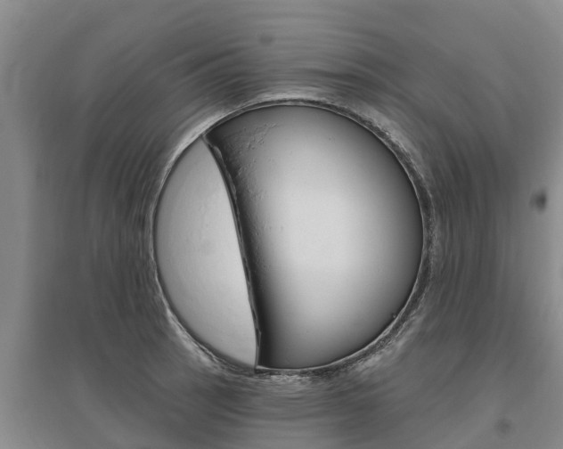X0000095931137200801110912
