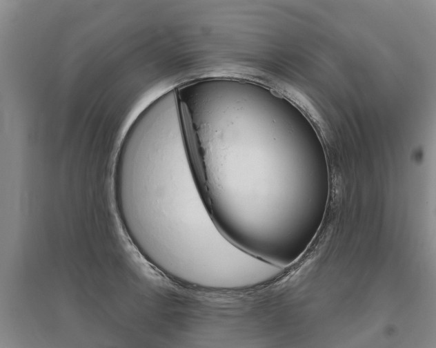 X0000095931138200801110912